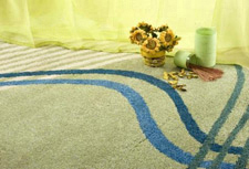 Area Rugs Cleaning