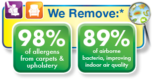 Chem-Dry Allergen Removal on Carpet and Upholstery