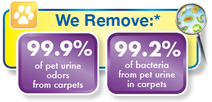 Chem-Dry Pet Urine Allergen Removal