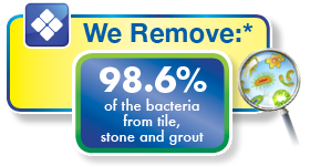 Tile Grout Cleaning Allergen Removal